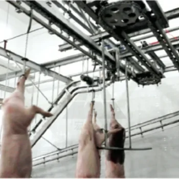 Pig-bloodletting-overhead-conveyor-「new」